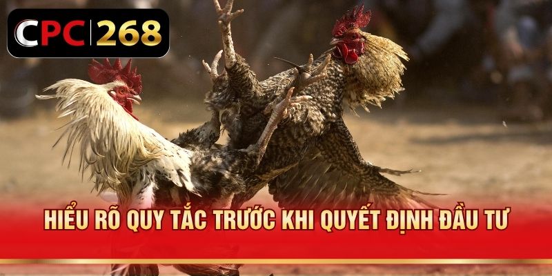 Hiểu rõ quy tắc trước khi quyết định đầu tư