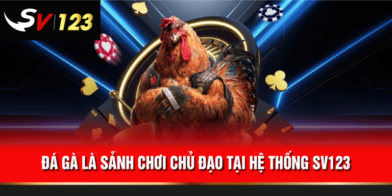 Đa dạng thể loại bài cho anh em tự do lựa chọn